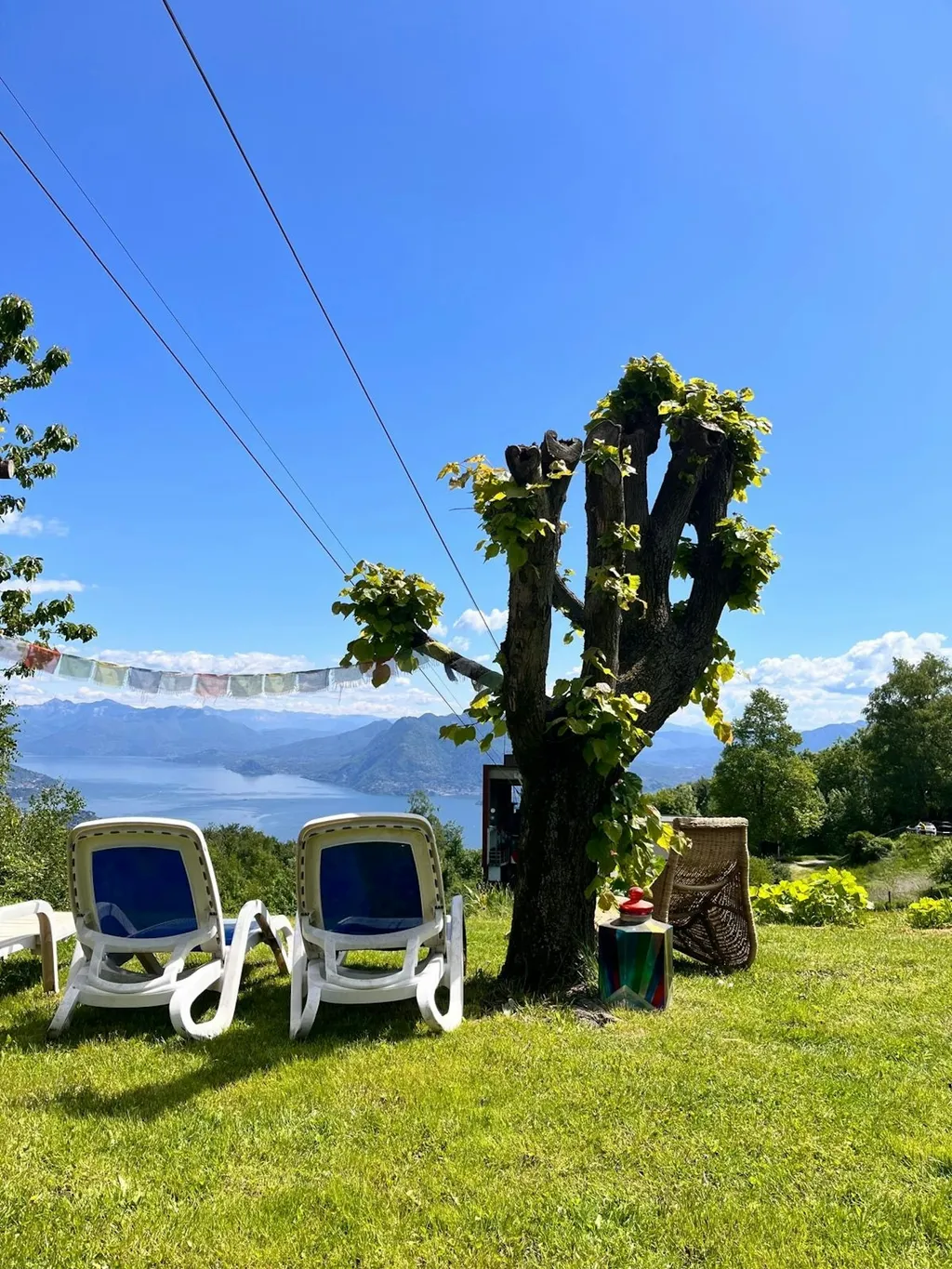 Painting lake view in the nature