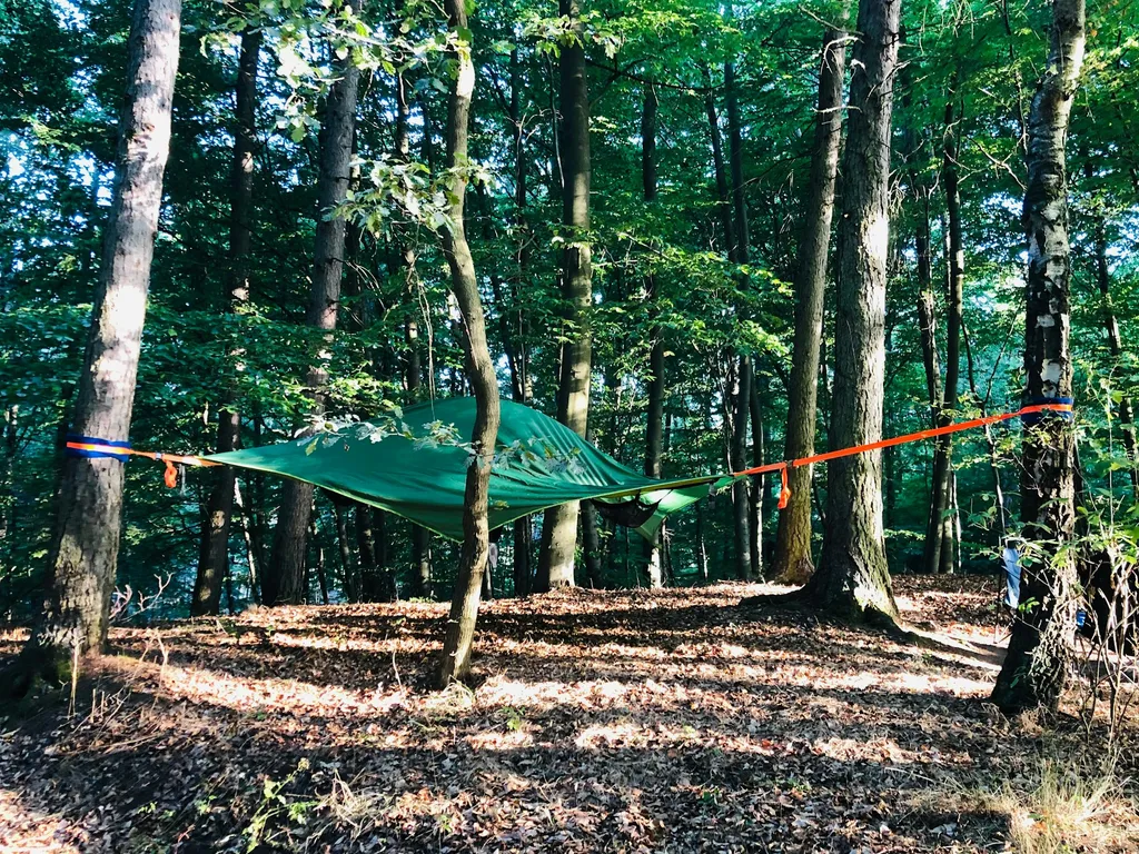 Schweben im Buchengrün