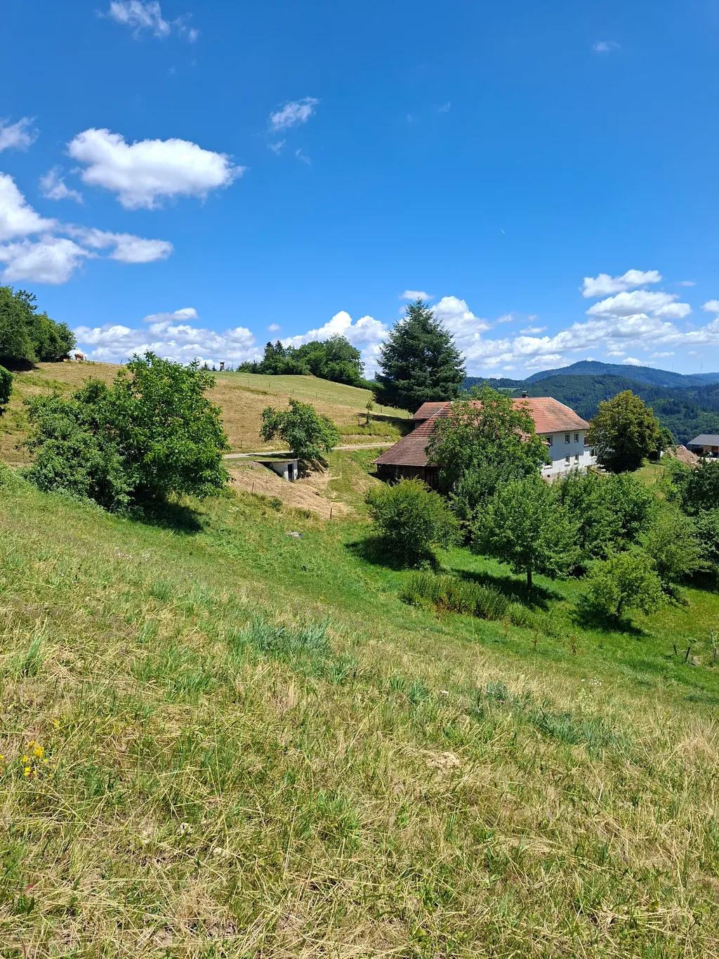 Anwesen mit Stellplätze