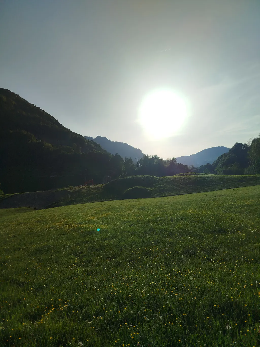 Ruhiger Platz in der Natur