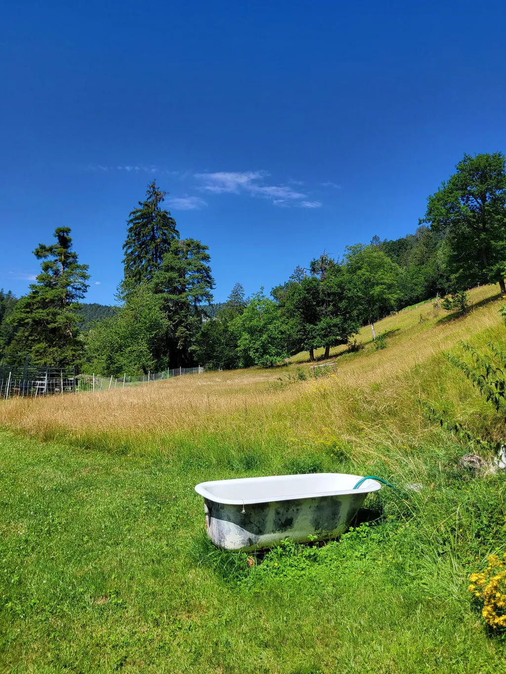 Ferienwagen im Paradies