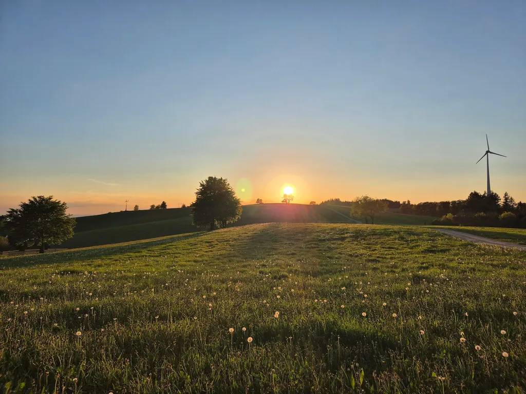 Stellplatz am Schwarzwaldhof