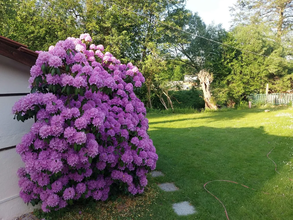 Sicheres Grundstück mit Fasssauna