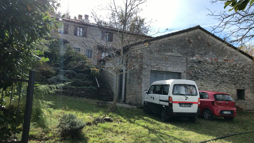 Campeggia nel bosco