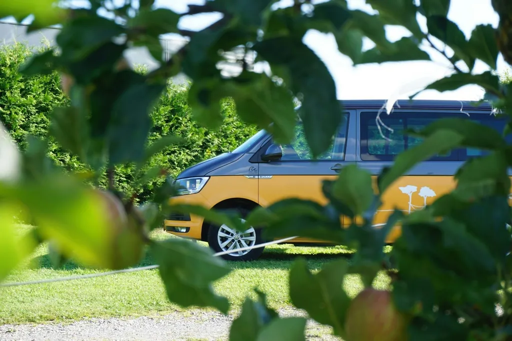 Camping bei Bodensee-Apfelbäumen