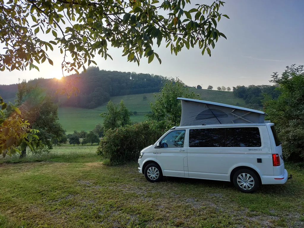 Piggeldy und Frederick fernweh