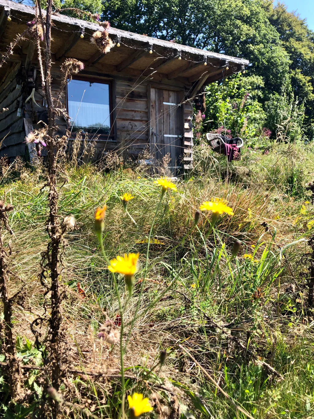 Bild von Anni für den Spot 1306