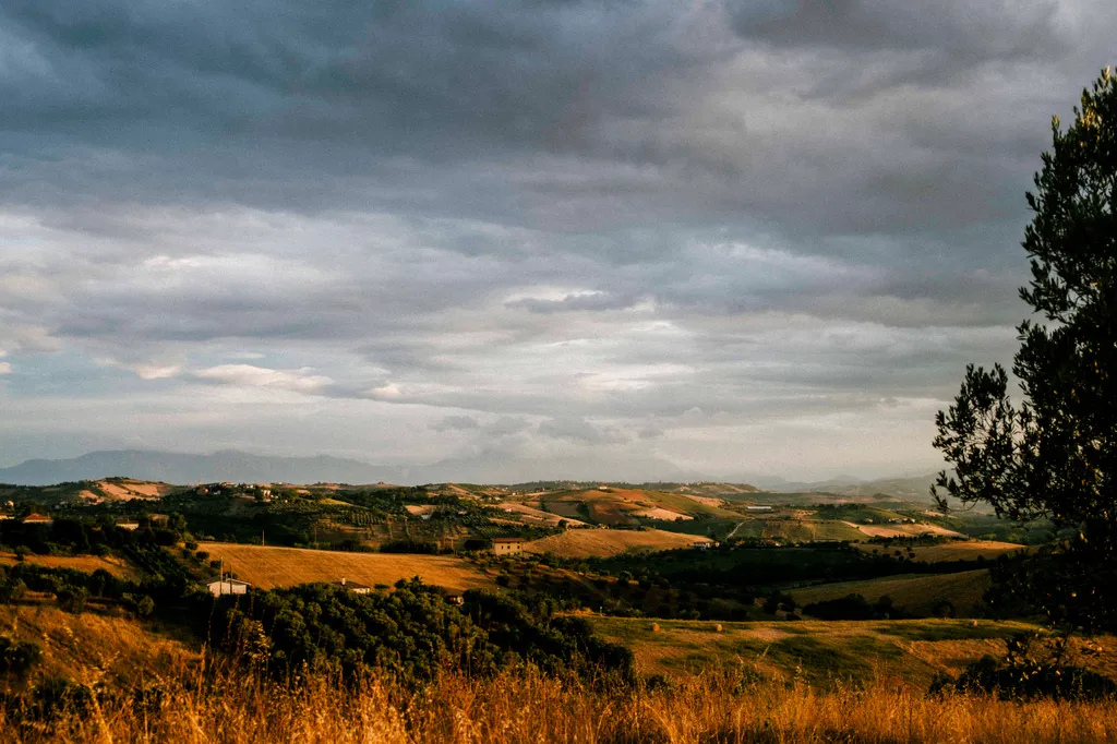 Image by Samuel for spot 651