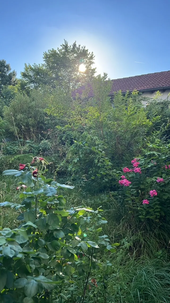 Der Wildgarten