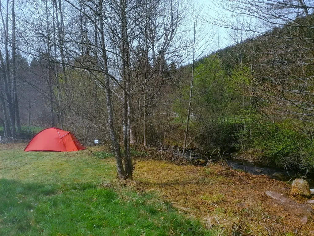 Wieseneckle am Bach mitten im Nationalpark