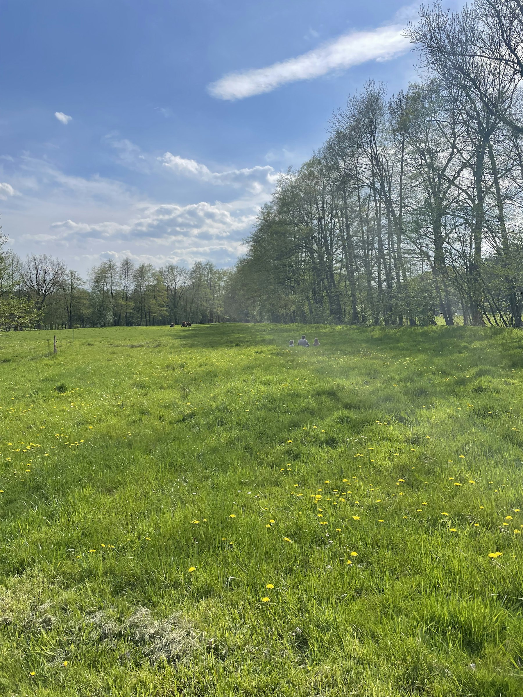 Sternenhimmel für Familien!