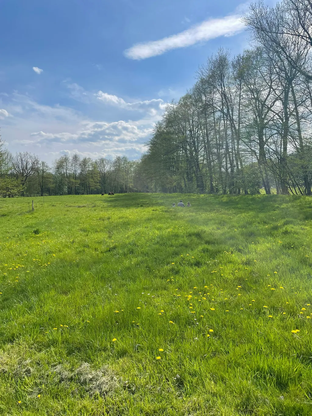 Sternenhimmel für Familien!