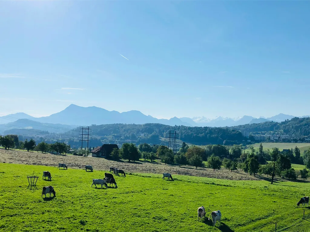 Camp auf dem Bauernhof - Rigiblick