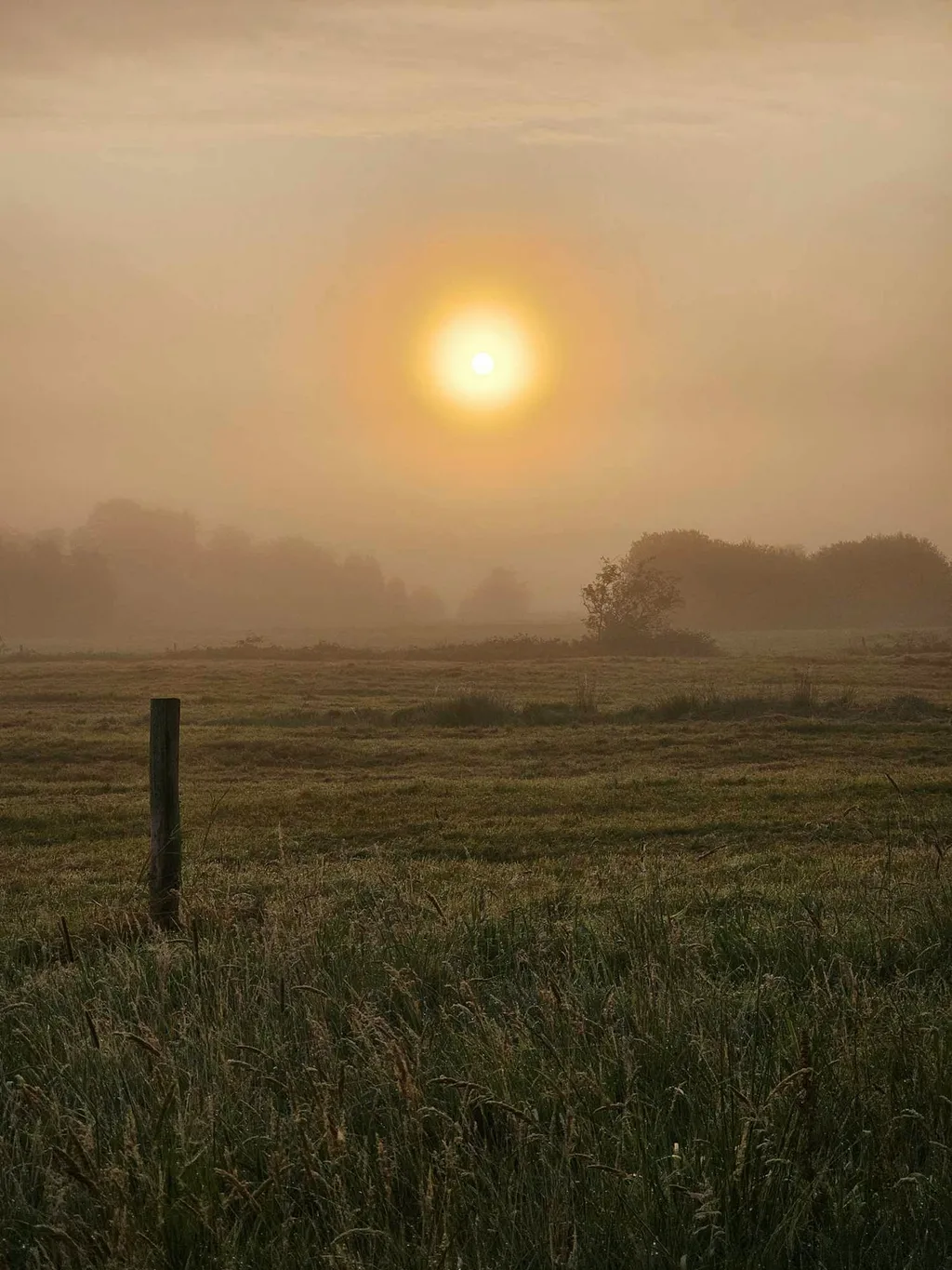 Kleinmoorhaus an der Eider