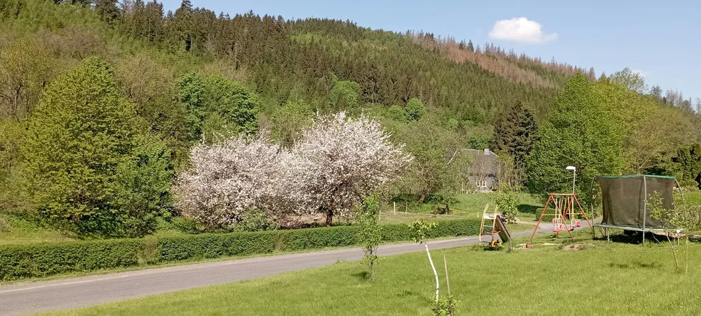 Ruhiger Zelt-Stellplatz