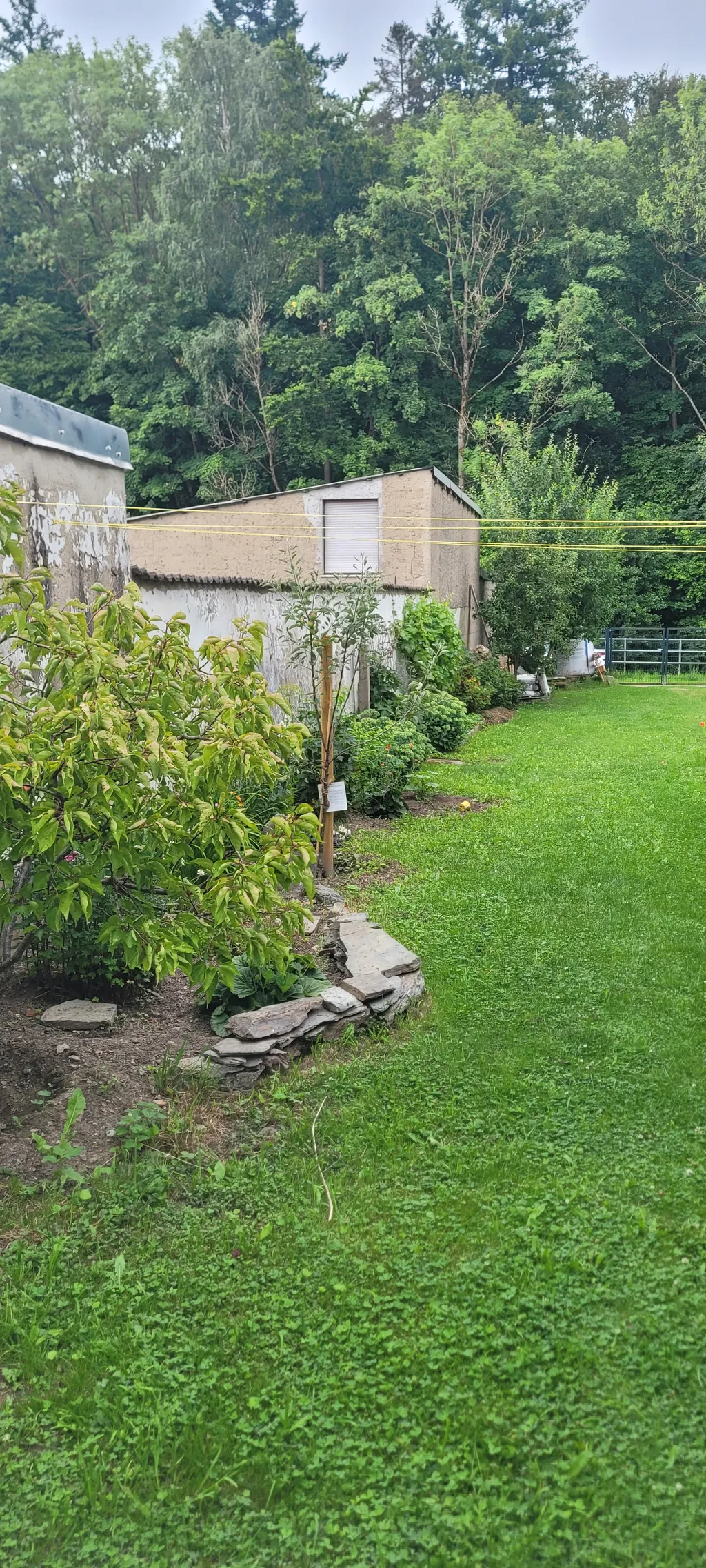 Platz im Grünen Selketal