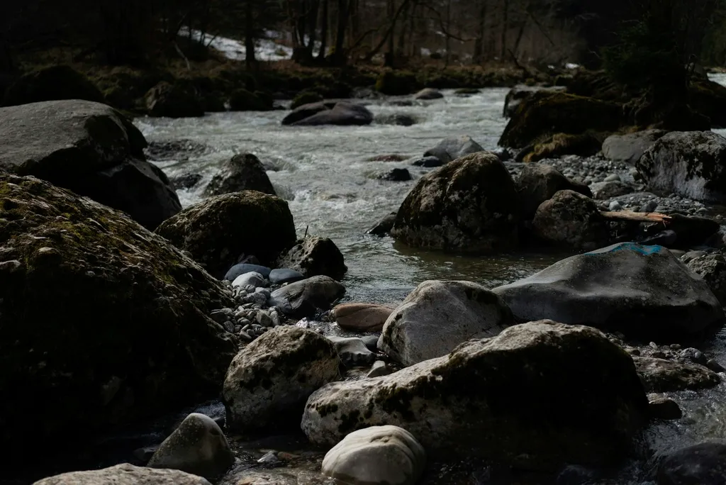 River Camp, direkt an der Sihl