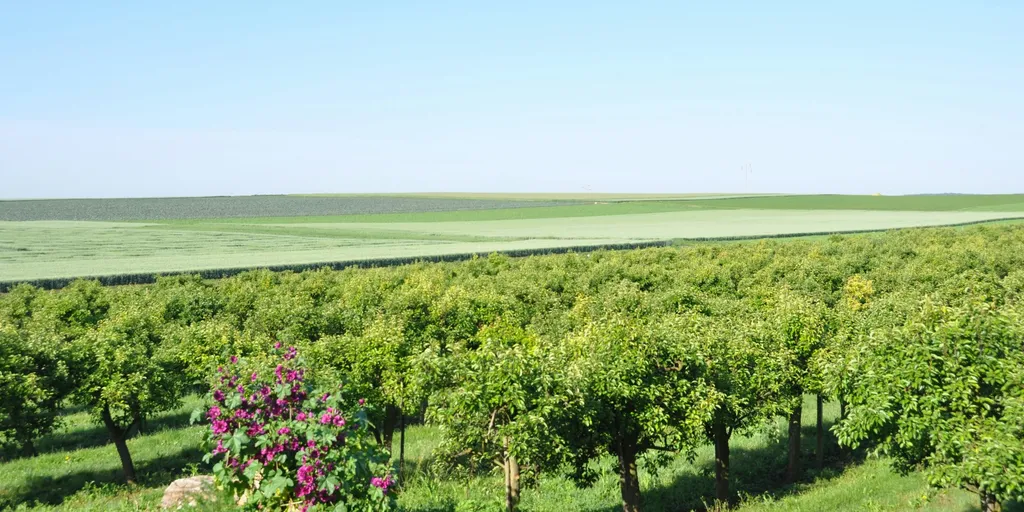 Mittendrin im Weinerlebnis