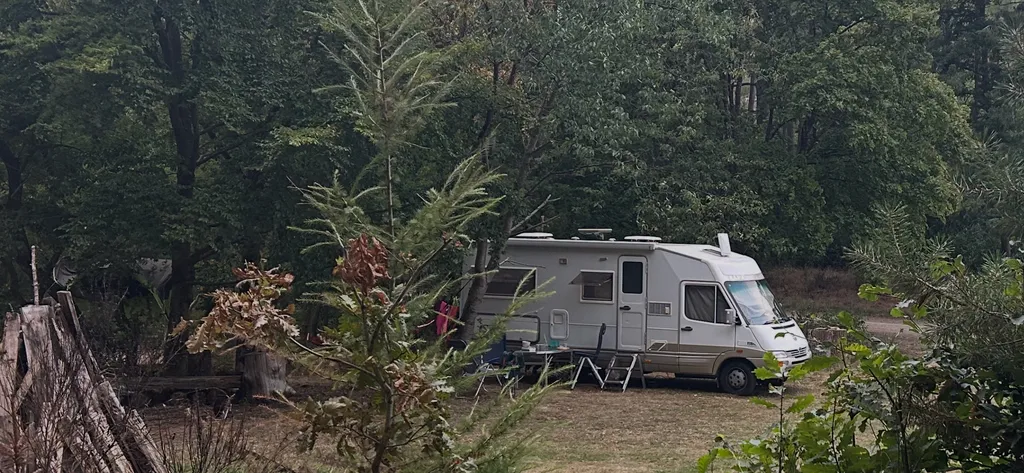 Bild von Peter für den Spot 3839