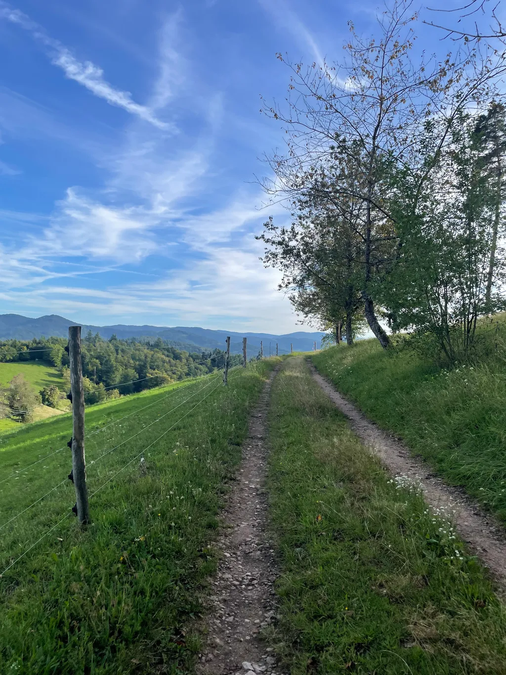 Bild von Tanja für den Spot 1308