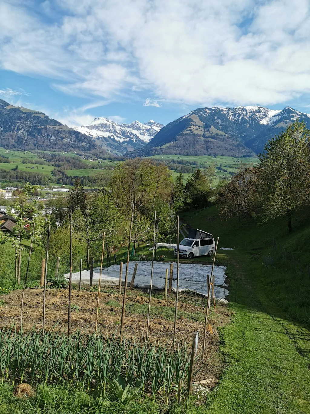Summerweid in Sarnen