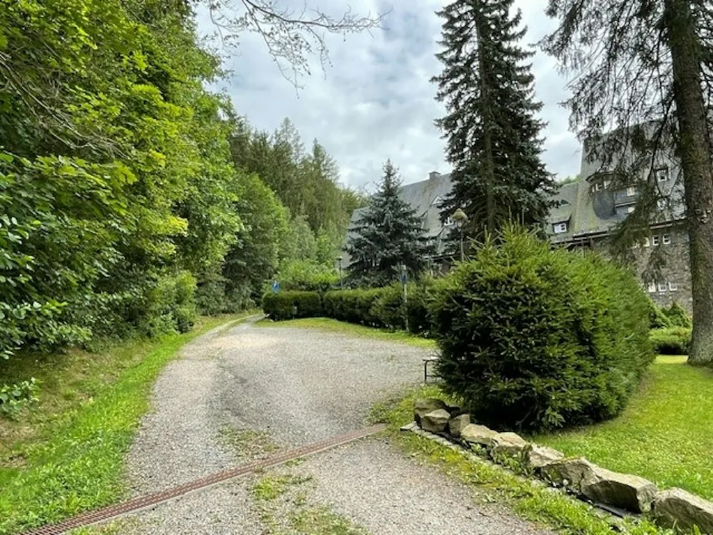 Waldidyll am Waldrand