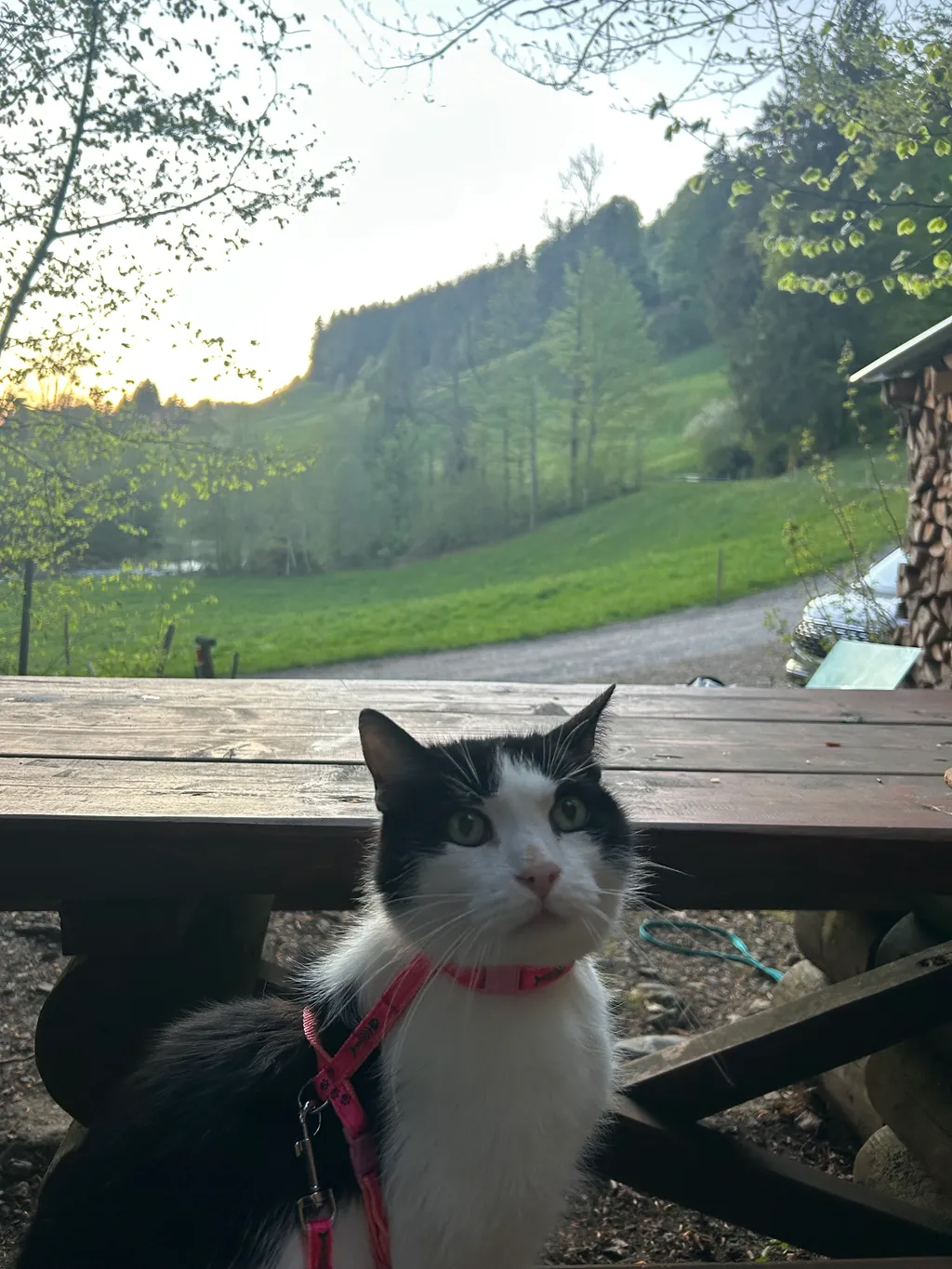 Bild von Audrey für den Spot 547