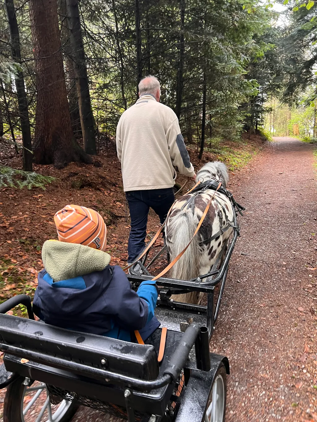 Bild von Guy für den Spot 269