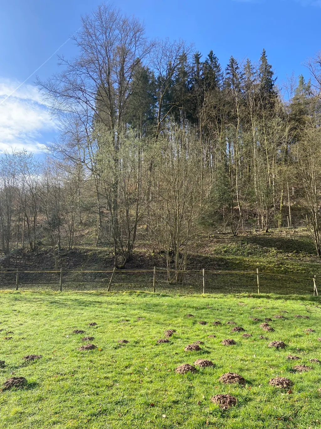 Bild von Mario Neumann für den Spot 1488