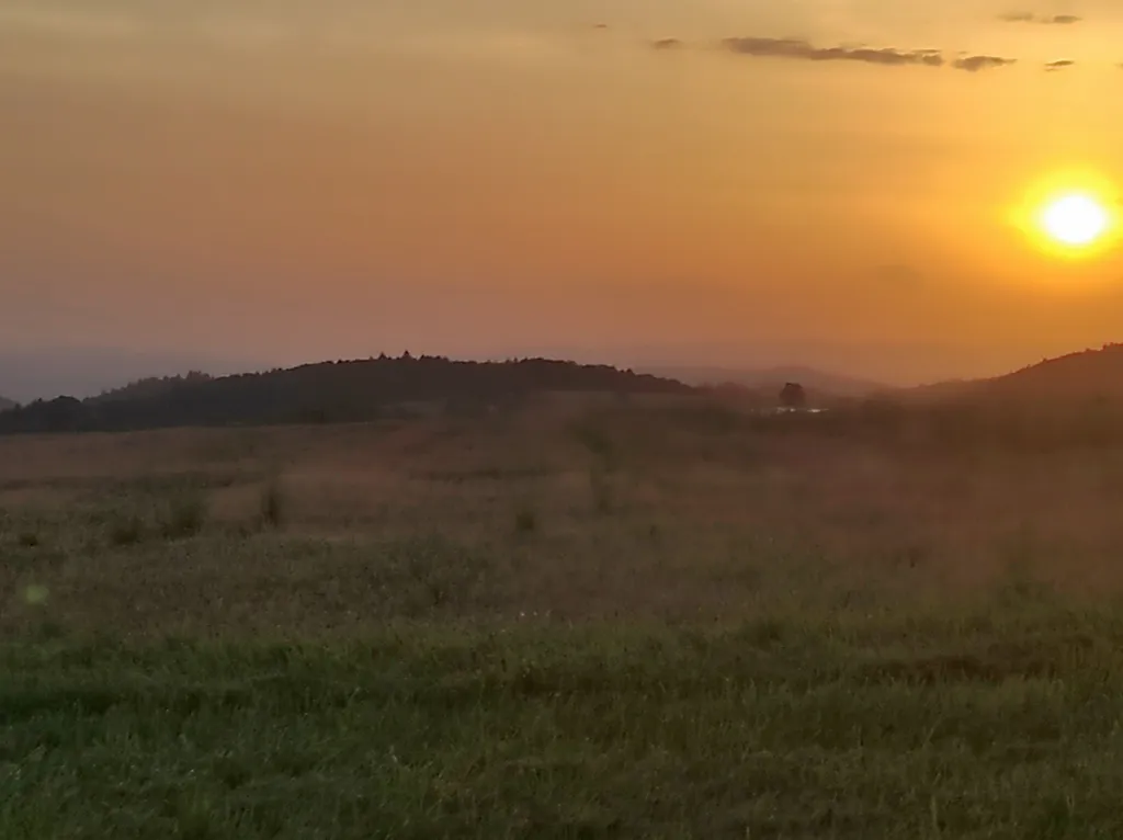 Bild von Katrin für den Spot 4407