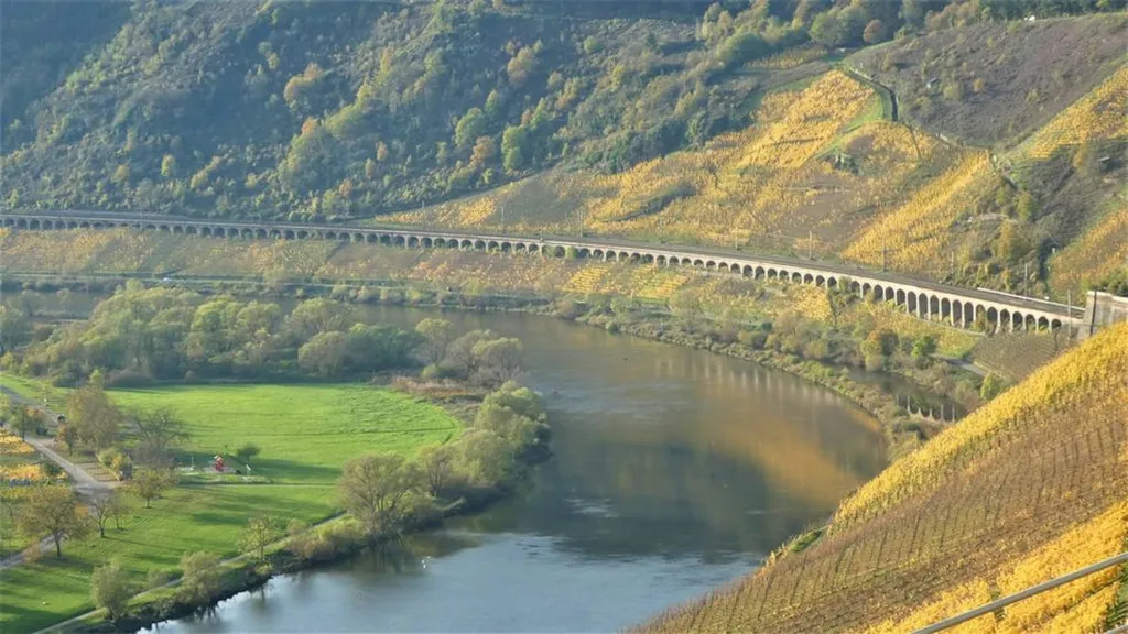 Ruhiger Stellplatz am Weingut