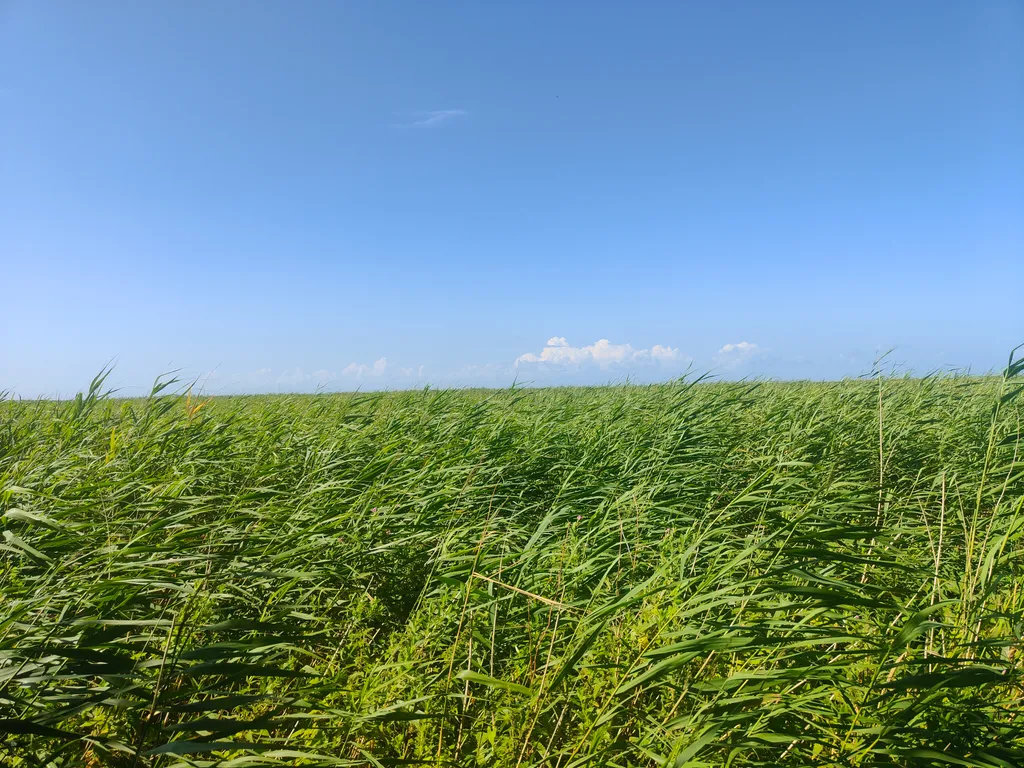 Bild von Nadine für den Spot 3725