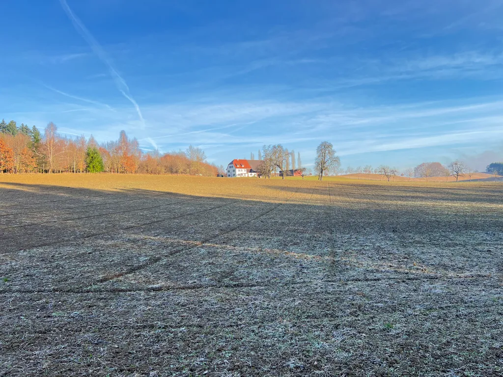 Wiesen Wald Bergsicht