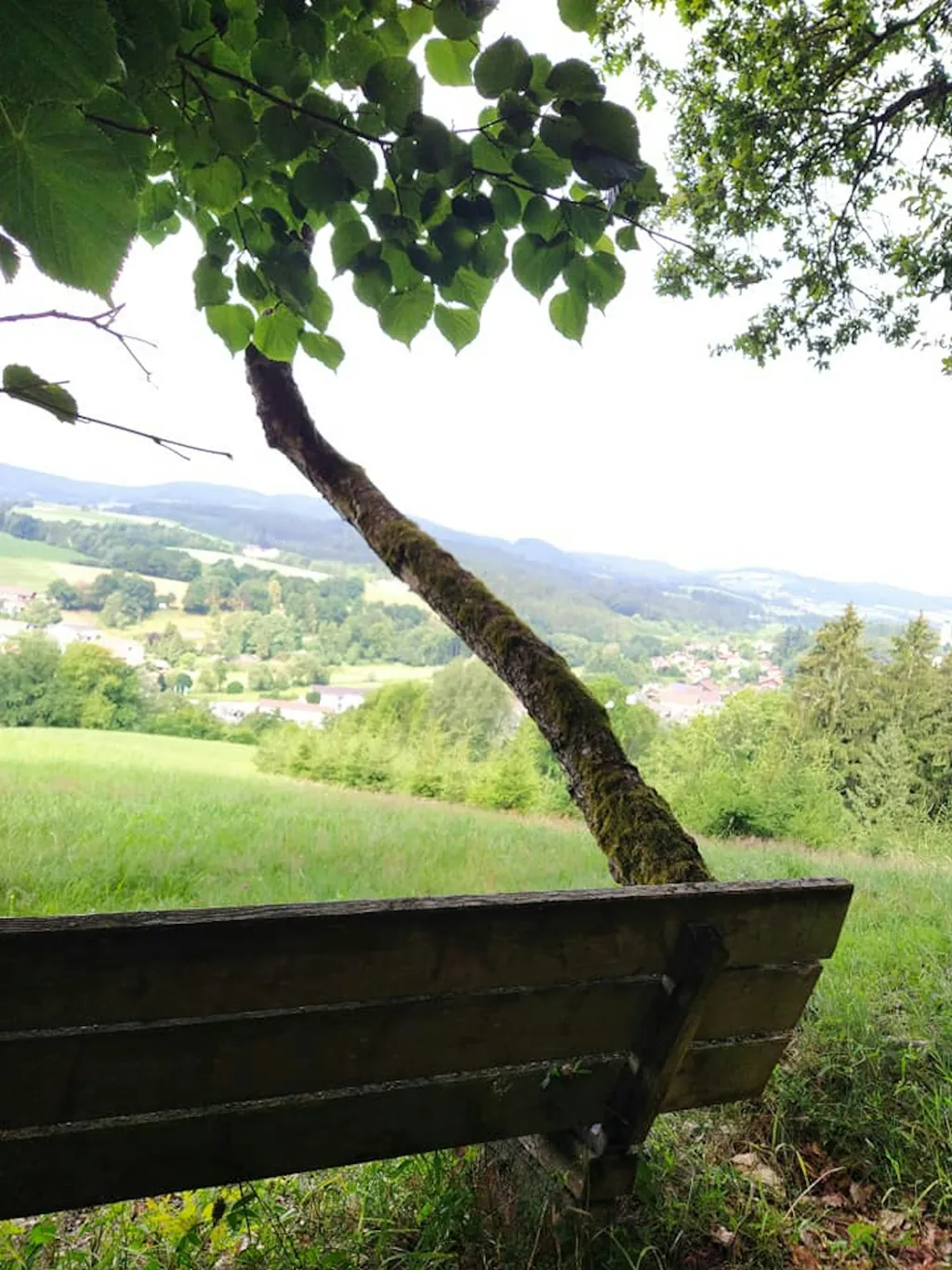 Berghof im Bayerischen Wald