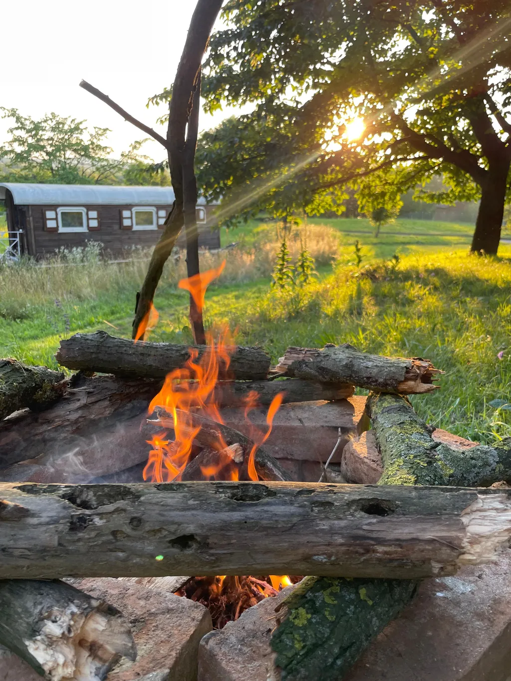 Bild von Darius für den Spot 1474