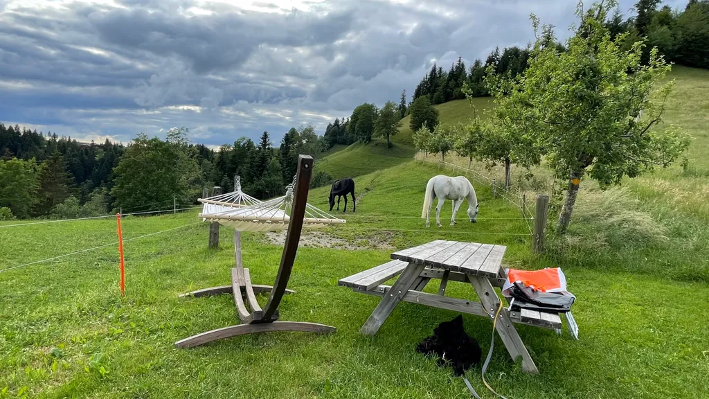 Bild von Esther & Urs für den Spot 311