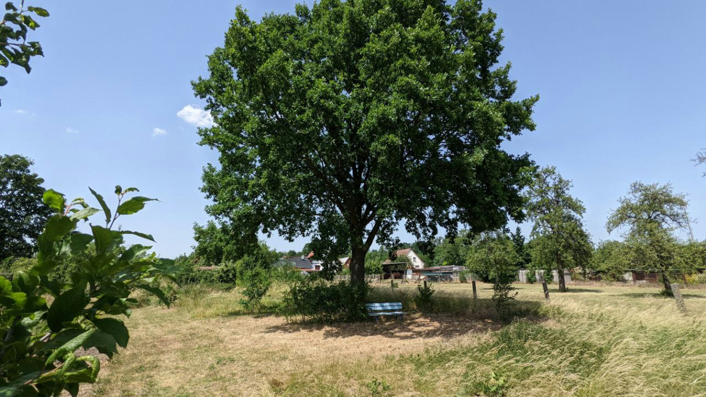 Sommerlaune-Erlebe die Milchstraße!