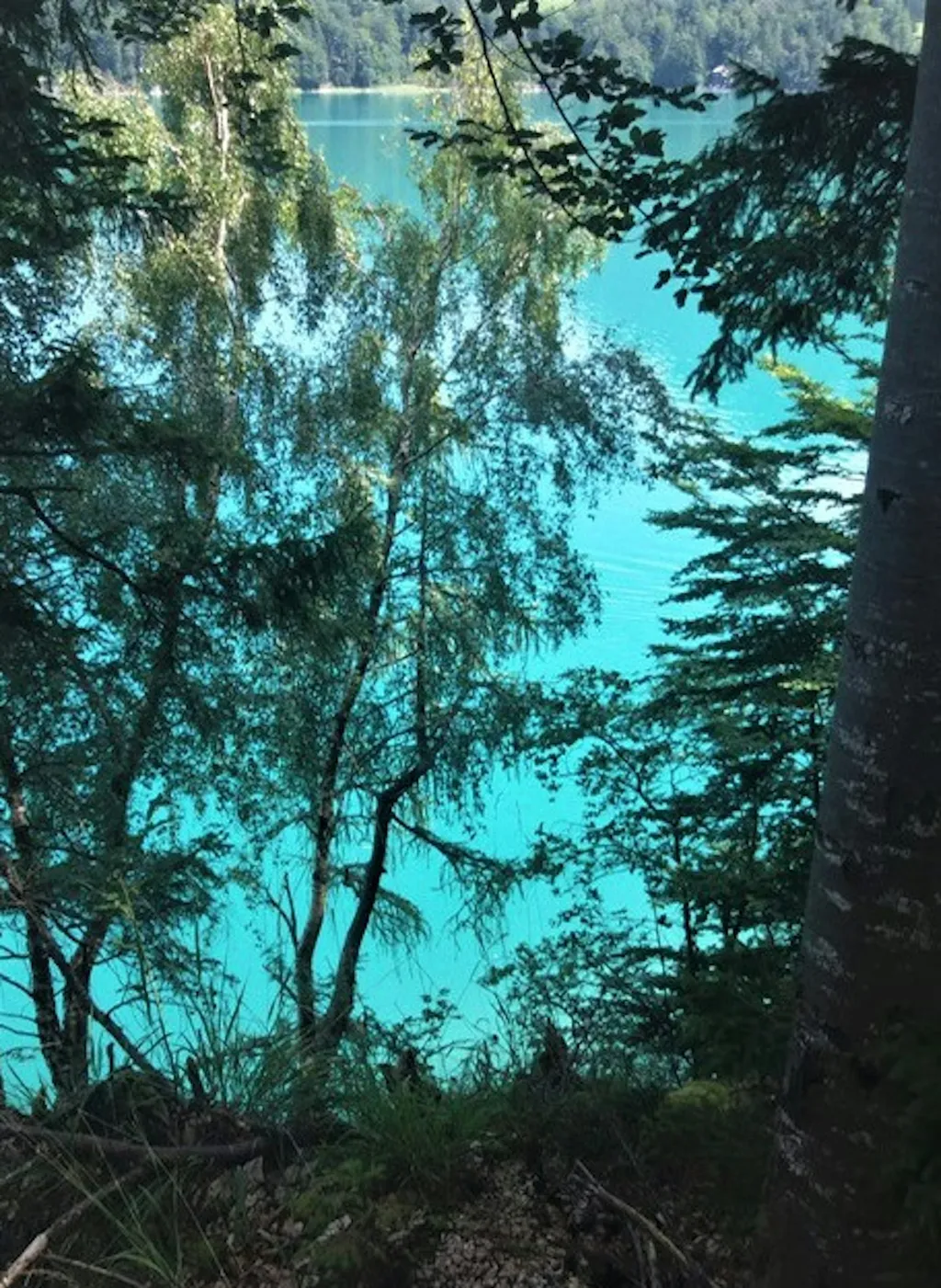 Smaragdfarbener Bergsee in der Nähe