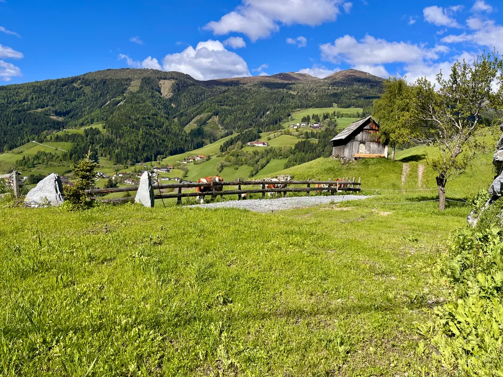 Sonnige Zeltwiese am Bergbauernhof