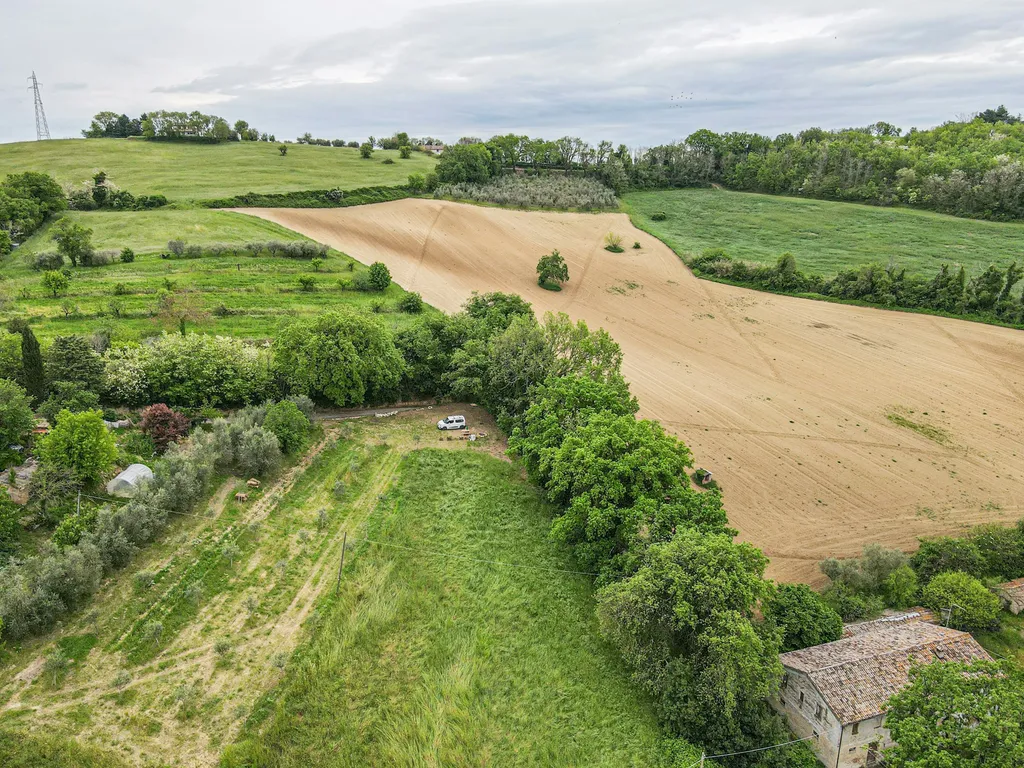 Camp gli Ulivi della Luca - Van