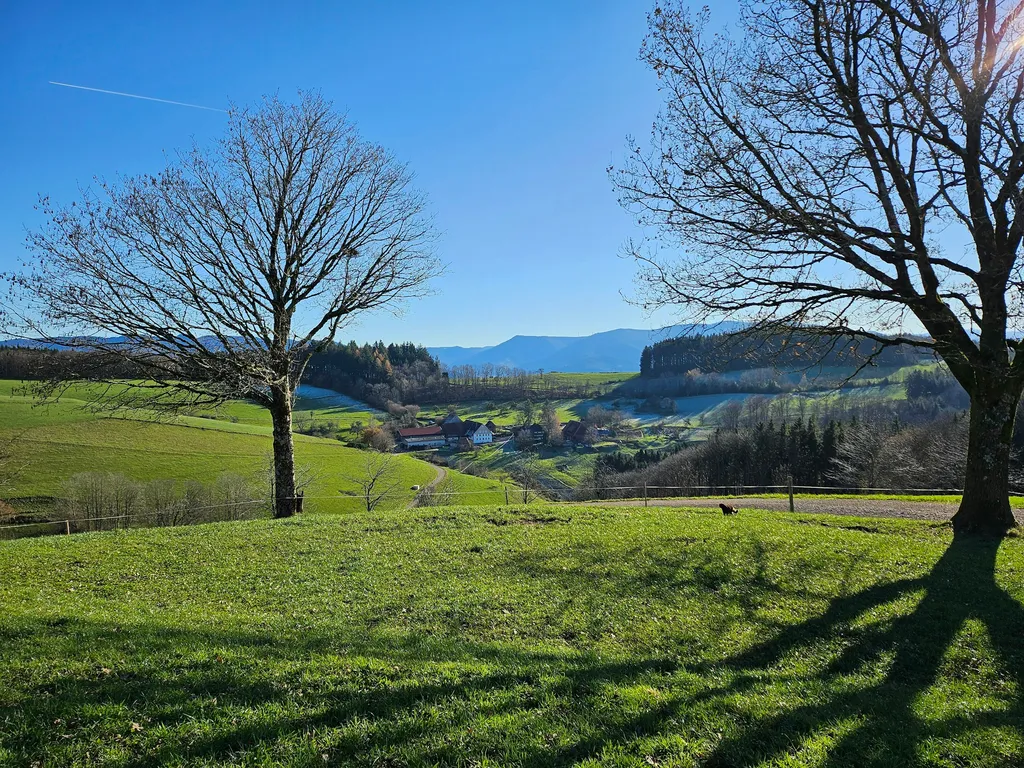 Natur pur - beim Kölble Hof - Eiche