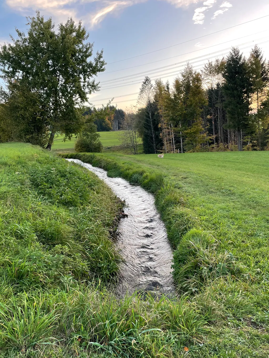 Bild von Lisa für den Spot 742