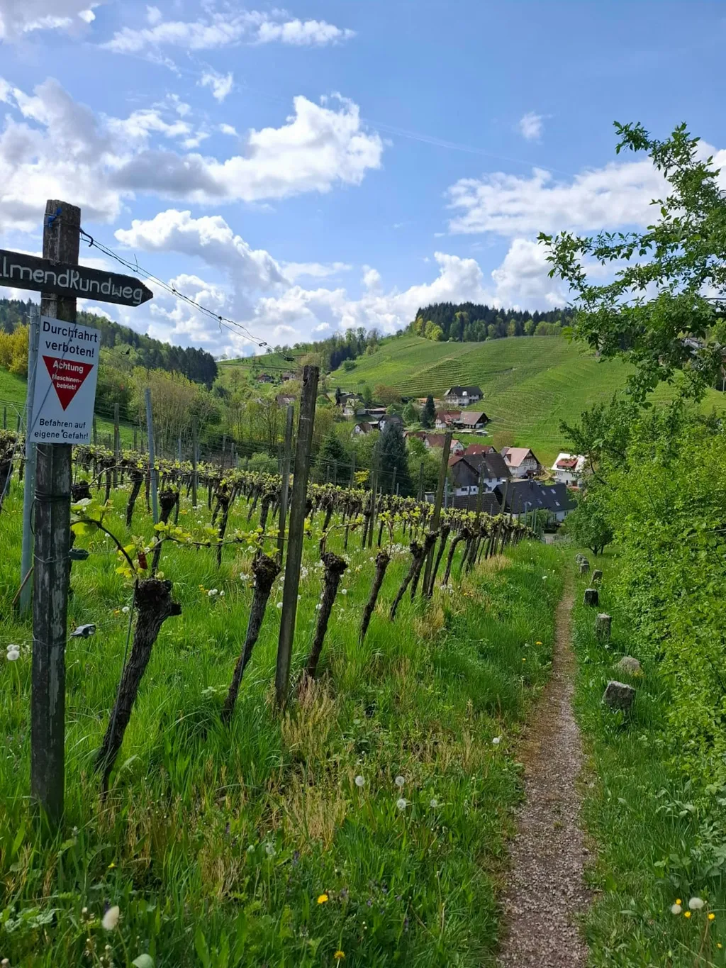 Idylle im Rebland "Alde Gott"