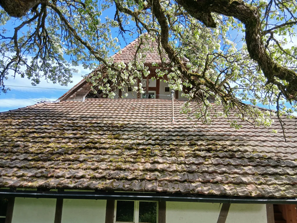 Ferien auf dem Biohof Lochholz