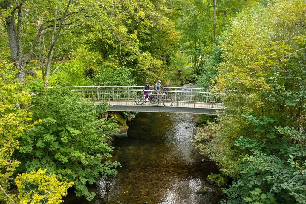 Königlich wildes Camp Bad Wildbad