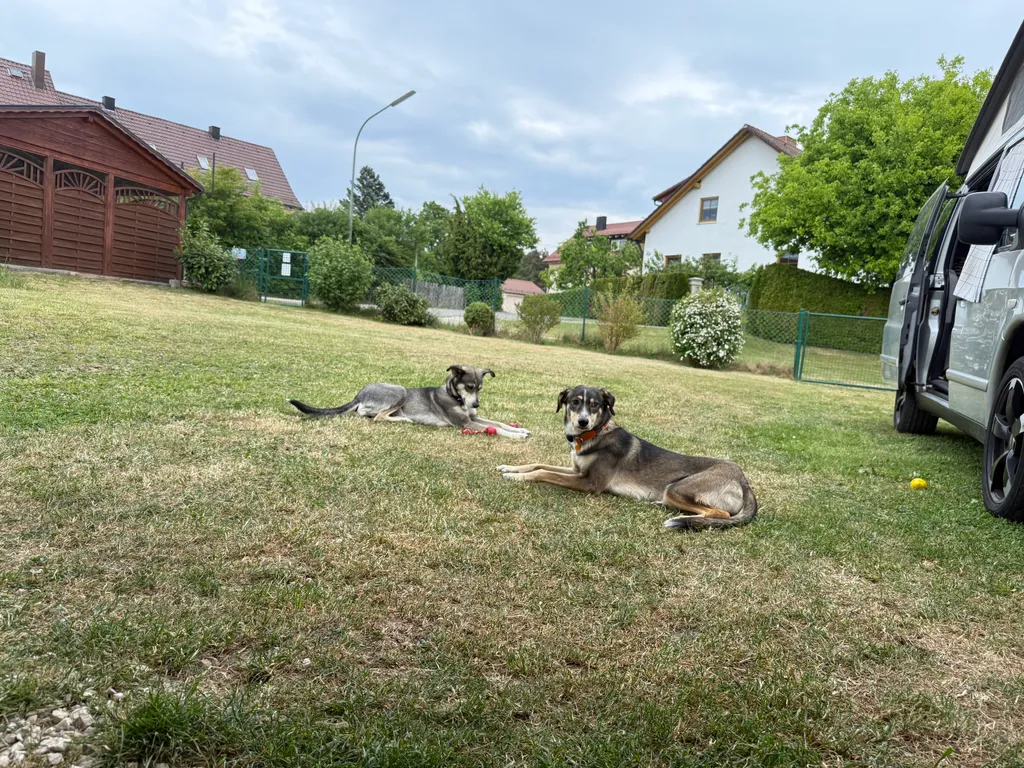 Bild von Sabrina für den Spot 1501