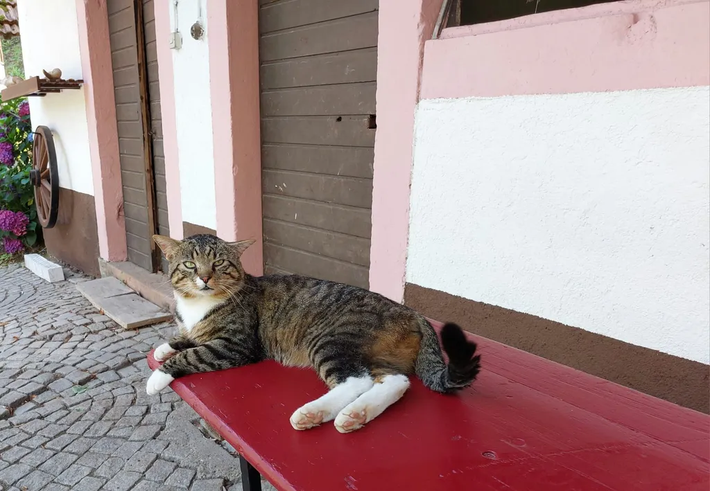 Idyllisch entschleunigen im Zelt đïž