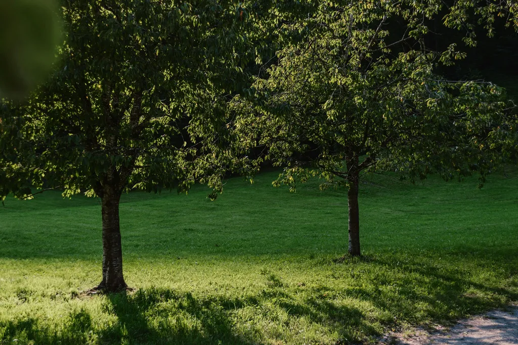 Zeltcamp Anreise ohne Auto