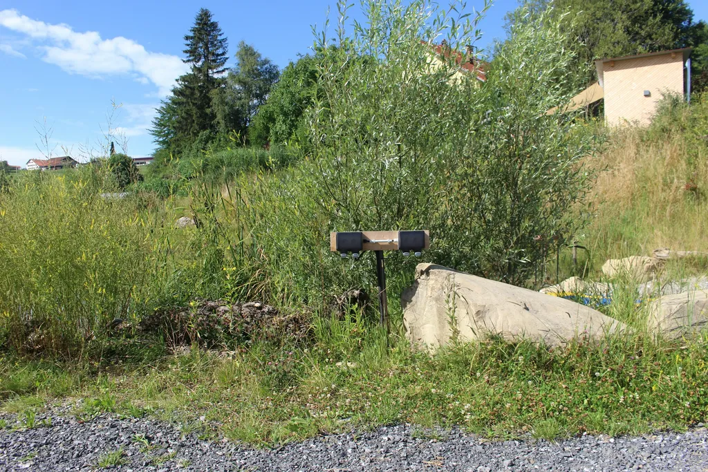 Natur-Camp am Badeteich