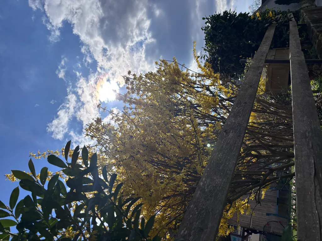 Bild von Heike für den Spot 1387